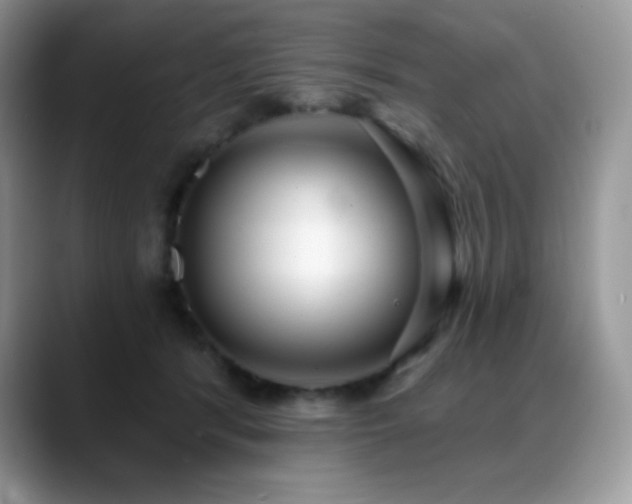 X0000088920416200706081403