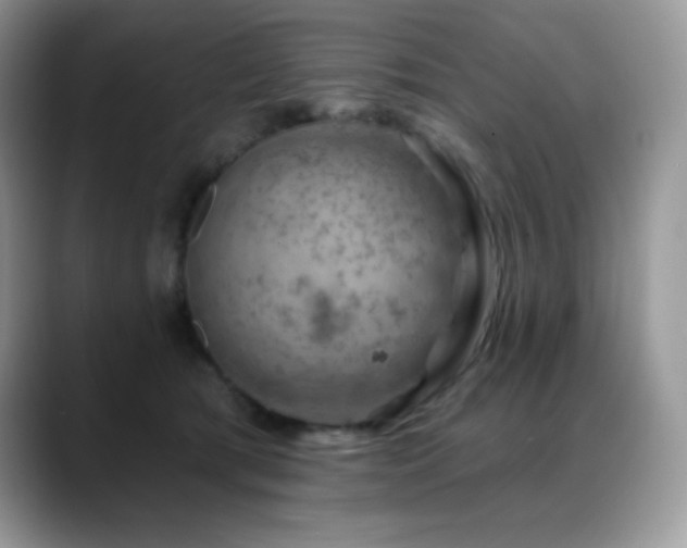 X0000088920417200706081403