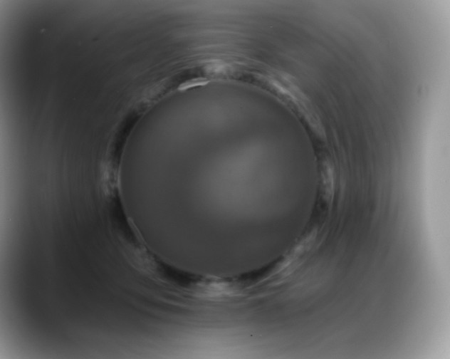 X0000088920419200706081403