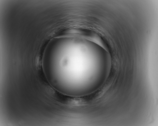 X0000088920420200706081403