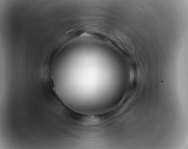 X0000088920421200706081403
