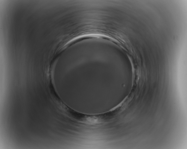 X0000088920423200706081403