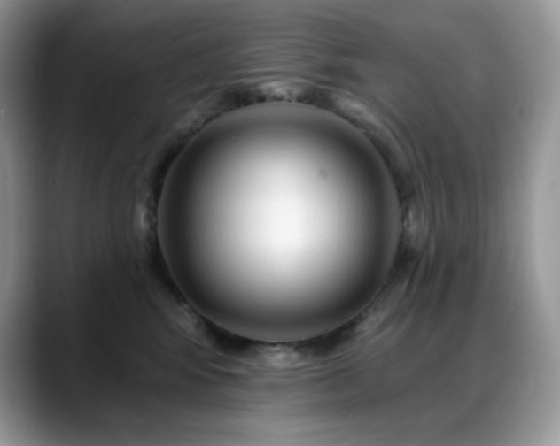 X0000088920424200706081403