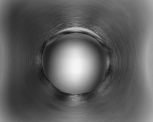 X0000088920425200706081403