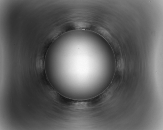 X0000088920426200706081403