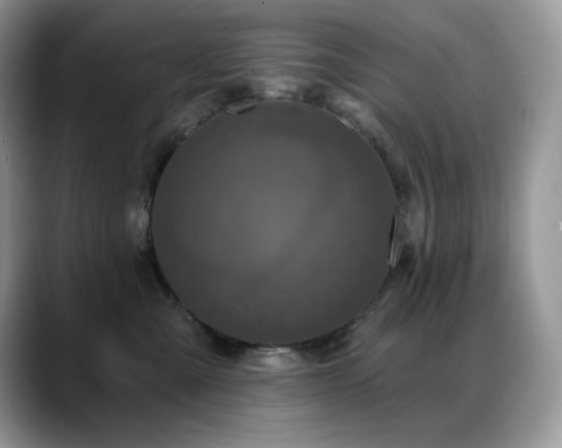 X0000088920427200706081403