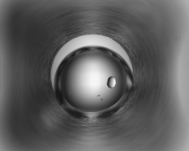 X0000088920428200706081403