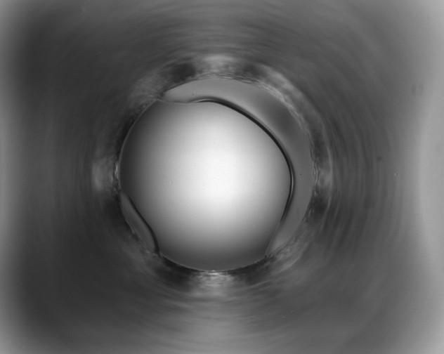 X0000088920429200706081402