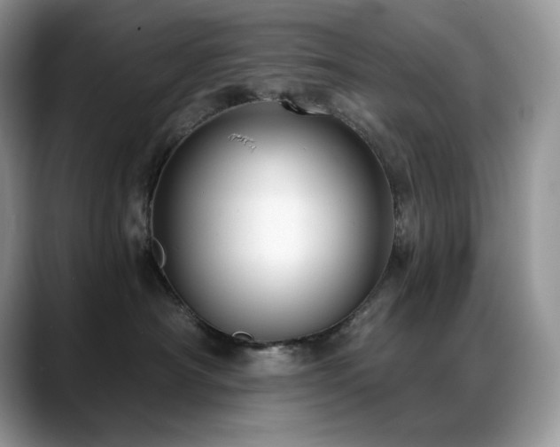 X0000088920430200706081402