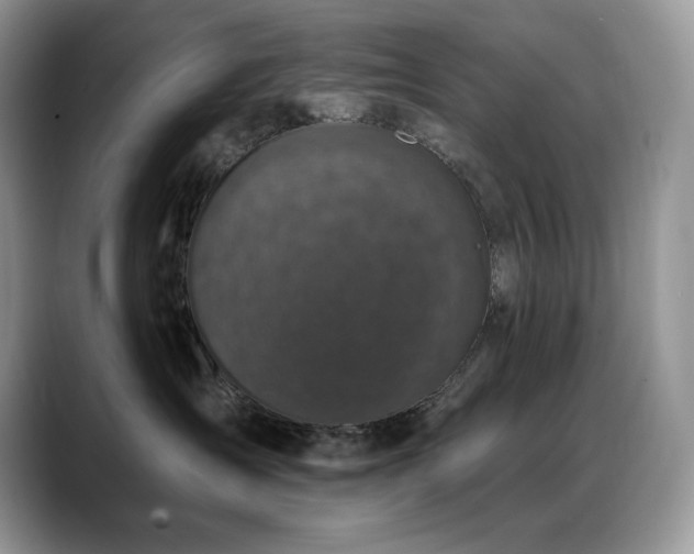 X0000088920431200706081402