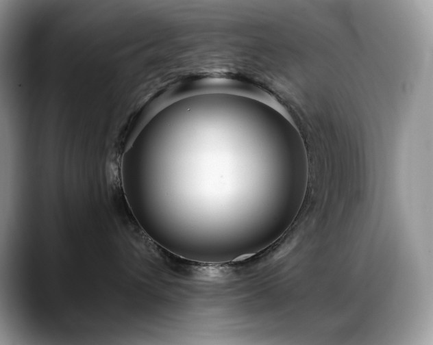 X0000088920432200706081402