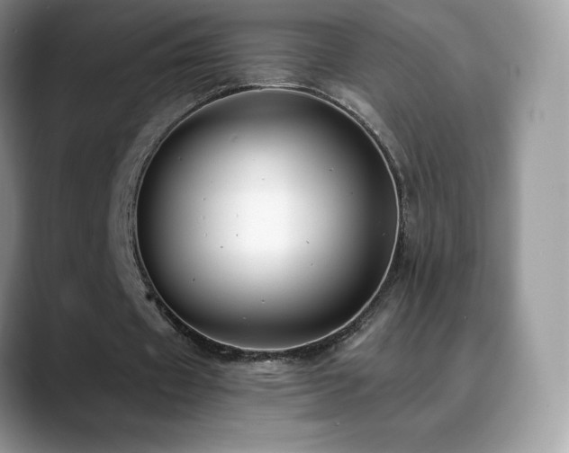 X0000088920433200706081402