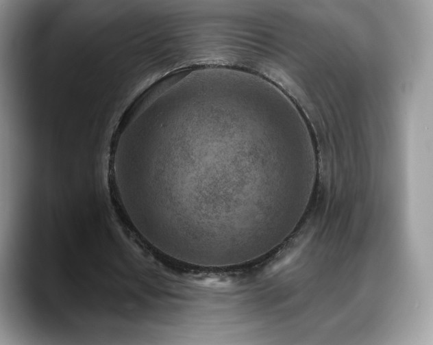 X0000088920434200706081402