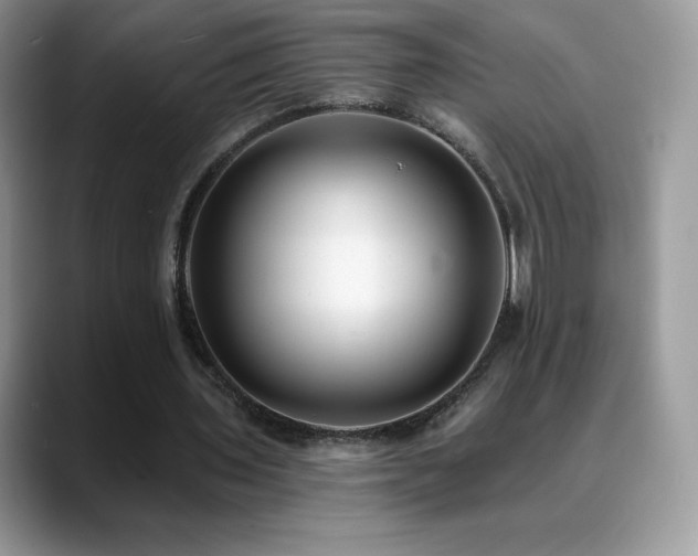 X0000088920435200706081402