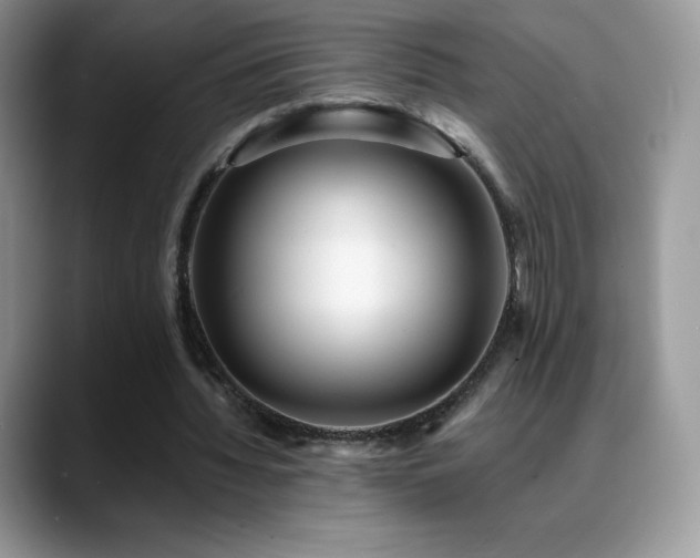 X0000088920436200706081402