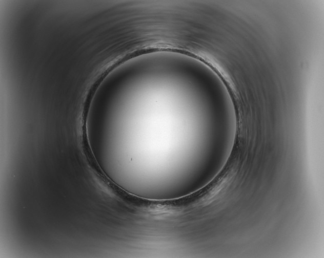 X0000088920437200706081402