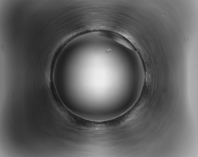 X0000088920438200706081402