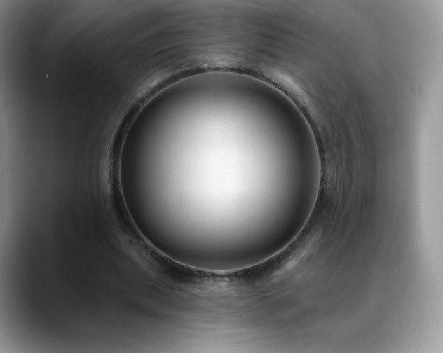 X0000088920439200706081402