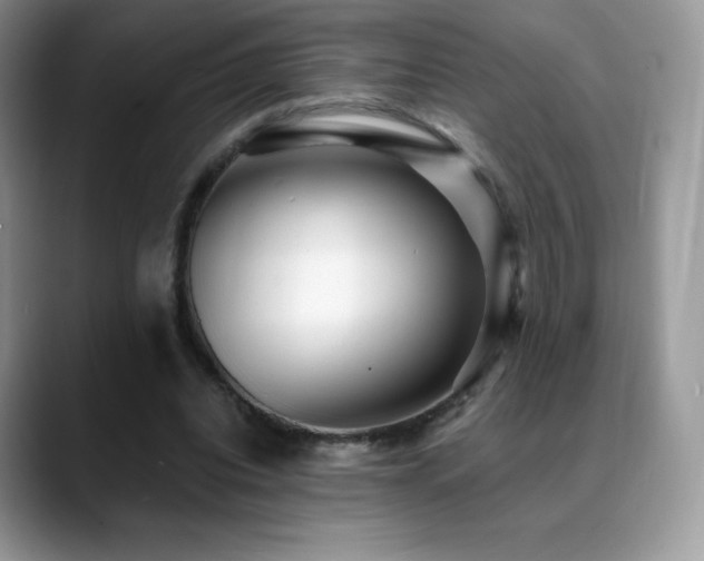 X0000088920440200706081402