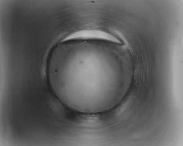 X0000088920443200706081402