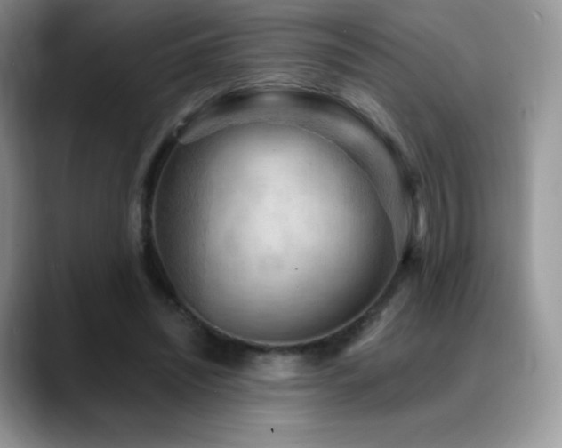 X0000088920444200706081402