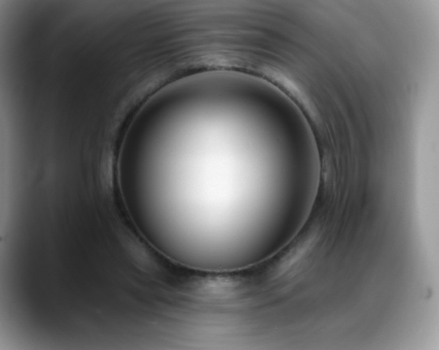 X0000088920445200706081402