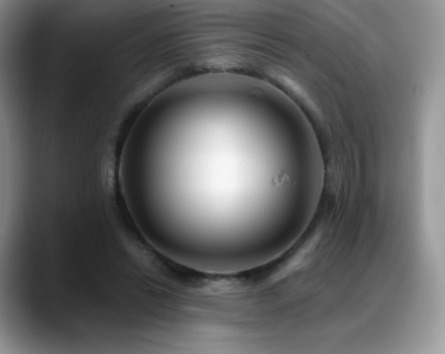 X0000088920446200706081402