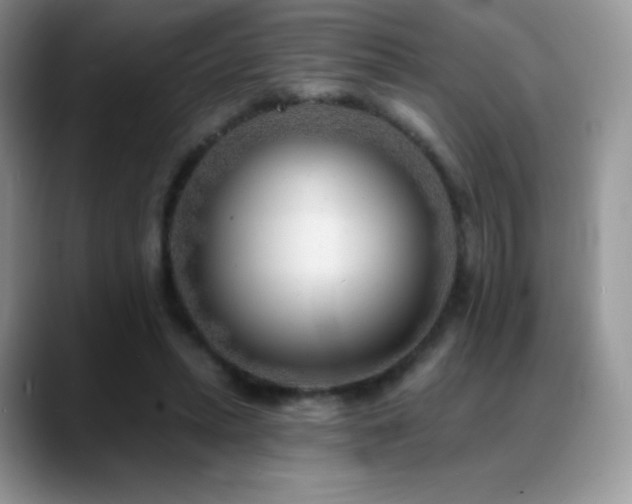 X0000088920447200706081402