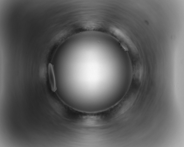 X0000088920448200706081402