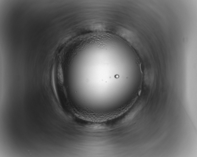 X0000088920449200706081402