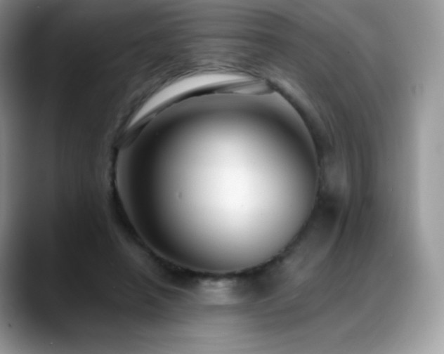 X0000088920450200706081402