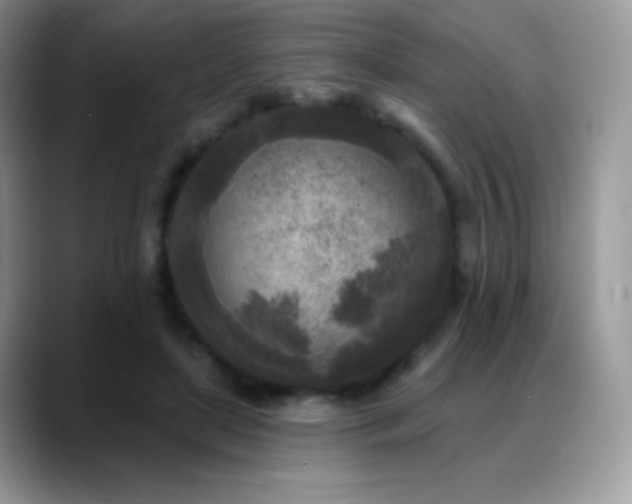 X0000088920451200706081402