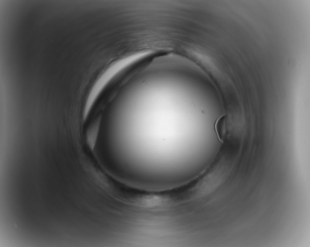 X0000088920453200706081402