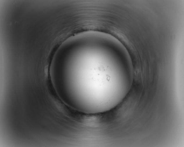 X0000088920454200706081402