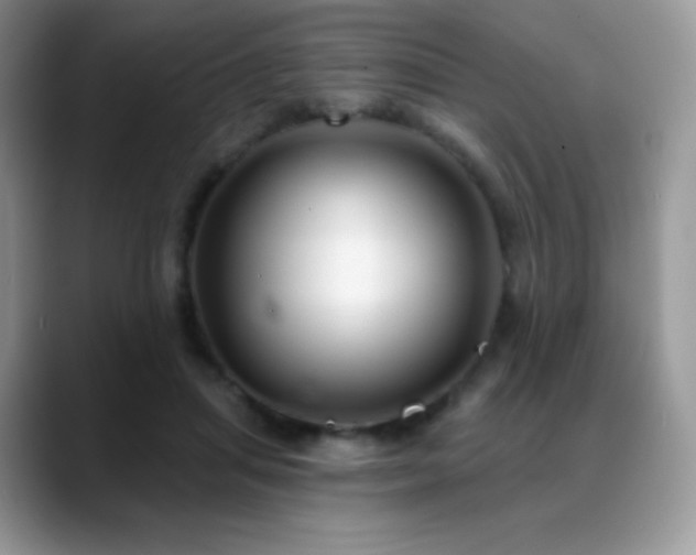 X0000088920455200706081402