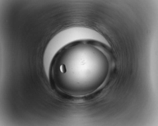 X0000088920456200706081402