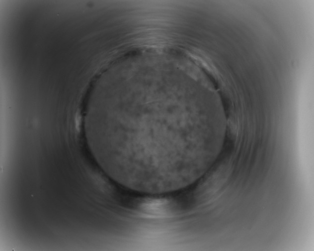 X0000088920458200706081402