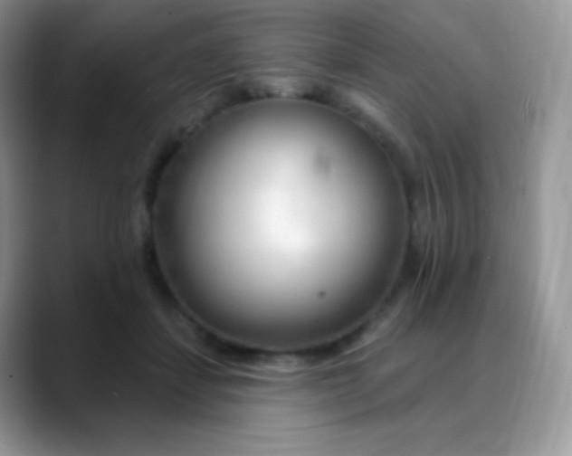 X0000088920459200706081402
