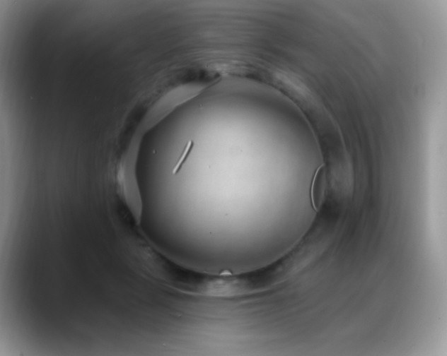 X0000088920461200706081402