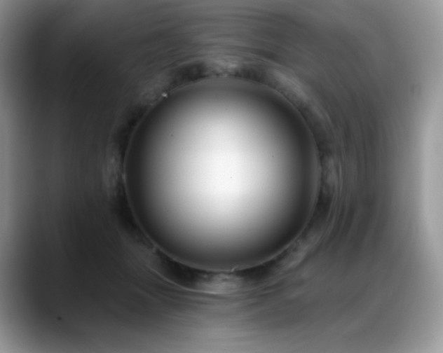 X0000088920463200706081402