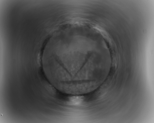 X0000088920465200706081402
