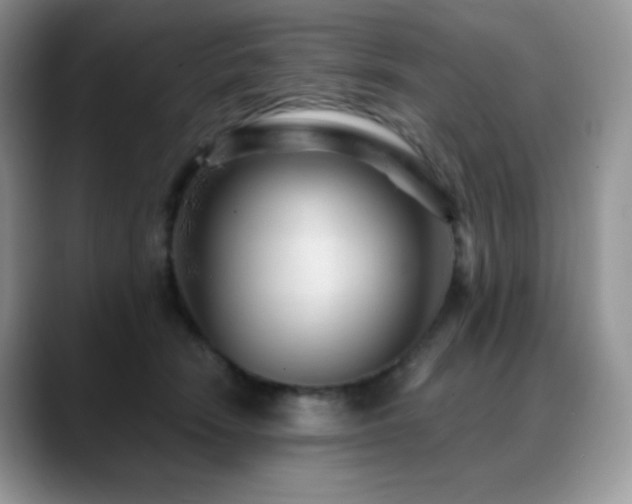 X0000088920466200706081402