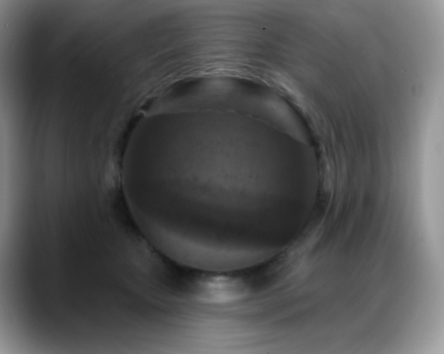 X0000088920467200706081402