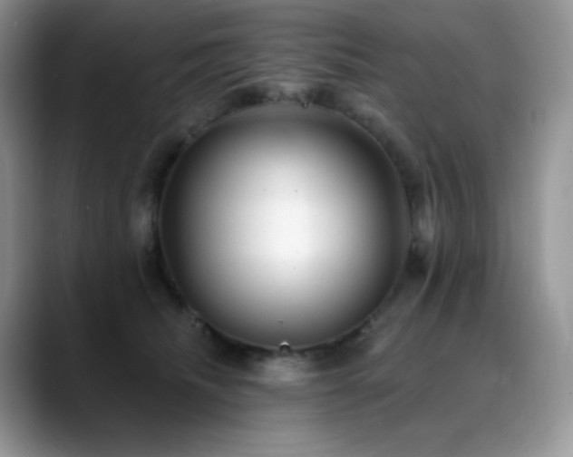 X0000088920468200706081402