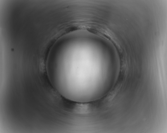 X0000088920469200706081402
