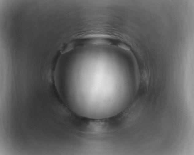 X0000088920470200706081402