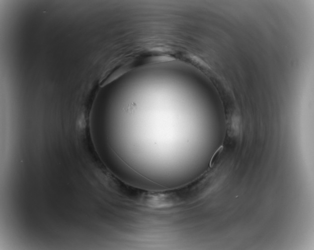 X0000088920472200706081402