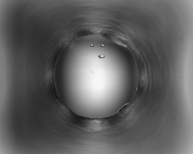 X0000088920473200706081402