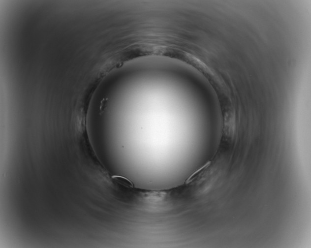 X0000088920474200706081402