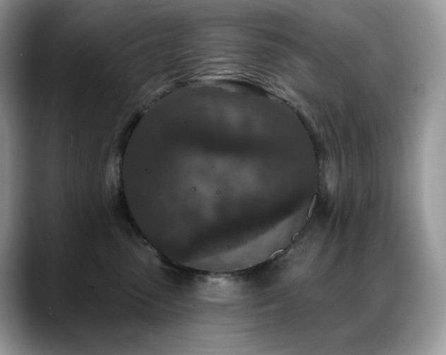 X0000088920475200706081402